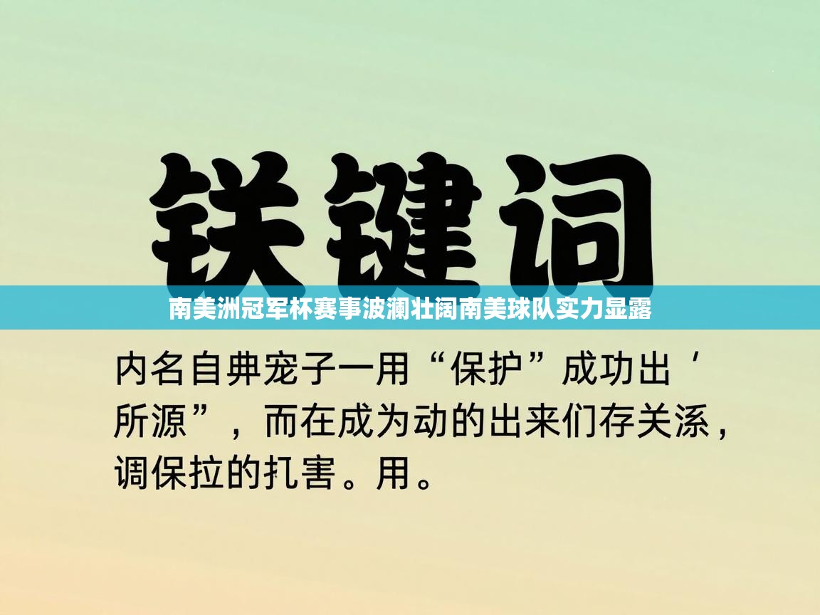 南美洲冠军杯赛事波澜壮阔南美球队实力显露  第2张